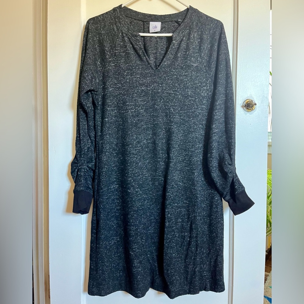 Cabi Sweatshirt Dress